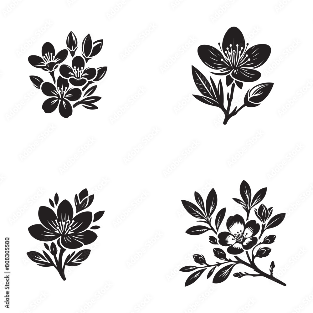 Fototapeta premium Alomnda flower tropical vector design1