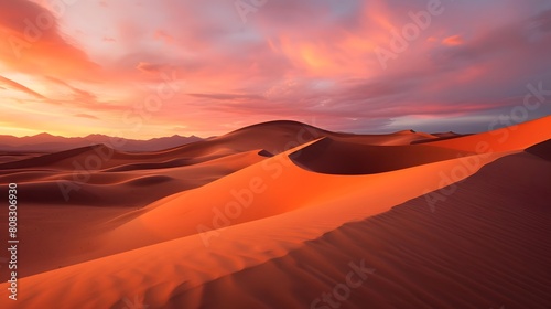 Panoramic view of sand dunes in the Sahara desert at sunset