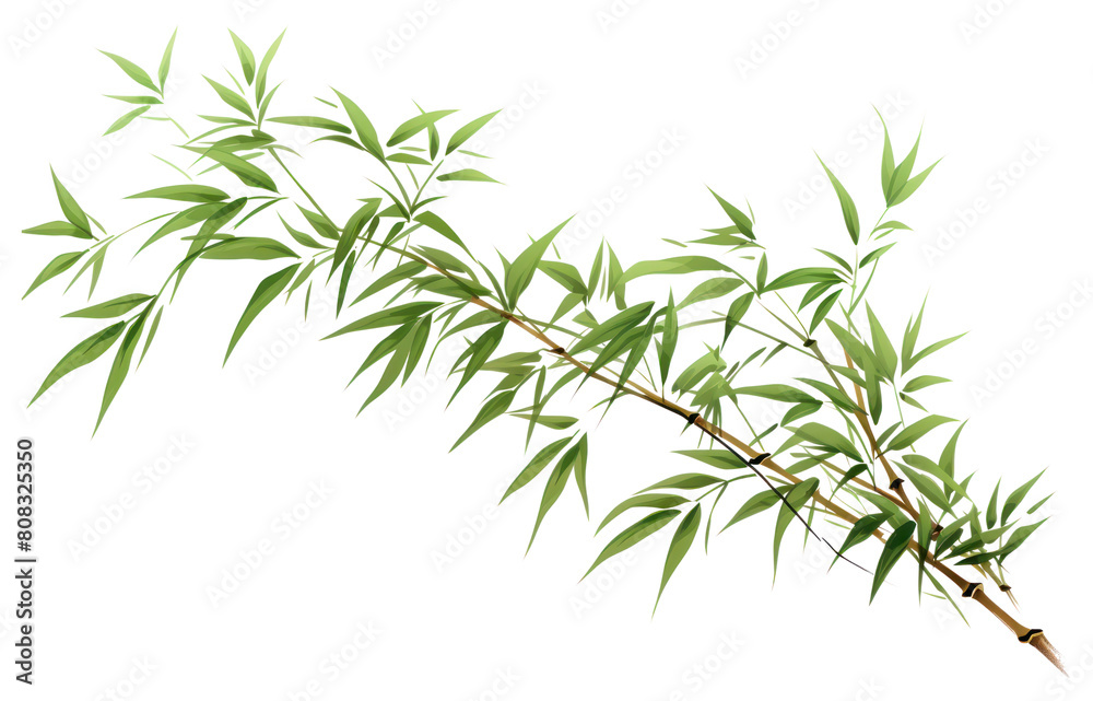 PNG Bamboo plant leaf tree.