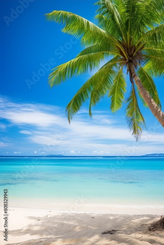 Tropical beach paradise with palm tree and turquoise ocean © Balaraw