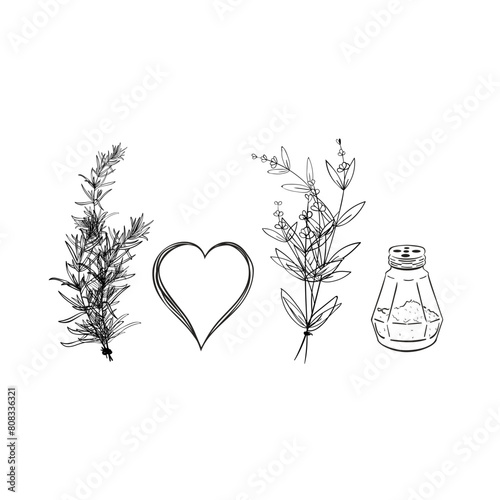 Practical Magic Svg, Salt Rosemary Lavender Love Svg, Sally Quote Svg, Practical Magic
