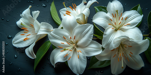 white lilies ondark blue background photo