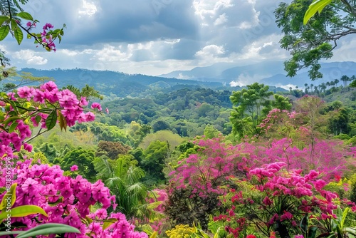 lush rainforest in full bloom during spring season vibrant nature landscape
