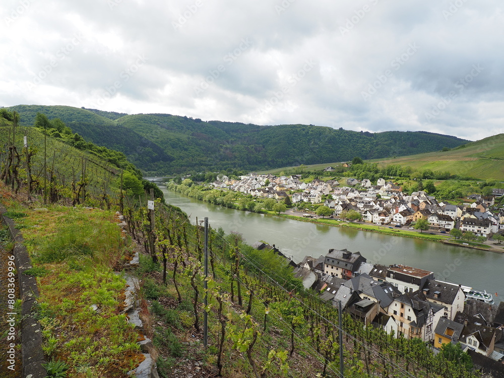 Zell - Stadt an der Mosel in Rheinland-Pfalz