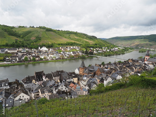 Obraz na płótnie Zell - Stadt an der Mosel in Rheinland-Pfalz w salonie