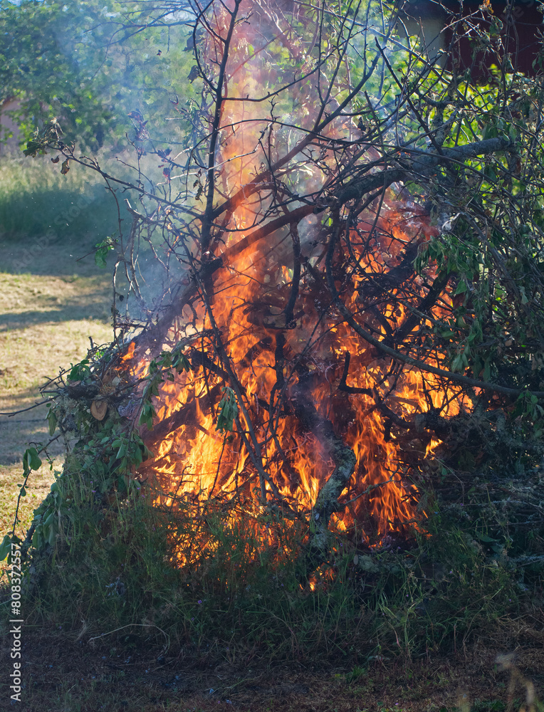 Springtime bonfire to burn apple orchard trimmings and clean up deadwood. Springtime bonfire to burn apple orchard trimmings and clean up deadwood.
