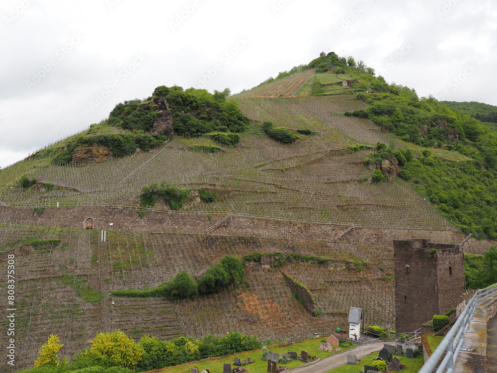 Zell - Stadt an der Mosel in Rheinland-Pfalz