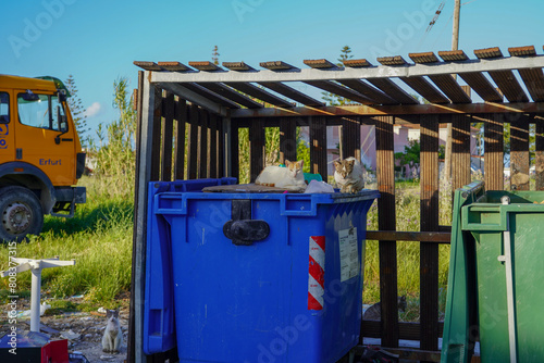 trashbins and rubbish in Argassi photo