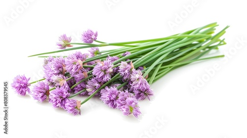 Chives or Allium schoenoprasum isolated on white. 