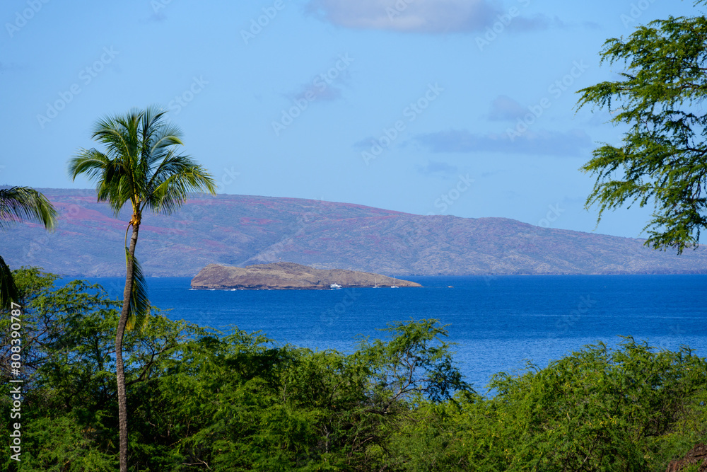 View of in the Molokini Crater island in the Pacific Ocean trough lush tropical vegetation and palm trees, Hawaii
