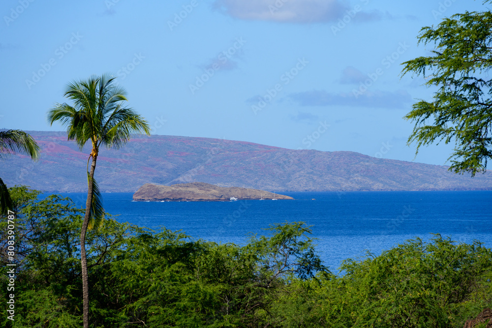View of in the Molokini Crater island in the Pacific Ocean trough lush tropical vegetation and palm trees, Hawaii
View of in the Molokini Crater island in the Pacific Ocean trough lush tropical vegetation and palm trees, Hawaii