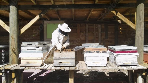 Footage of a beekeeper caring for honeybees. photo