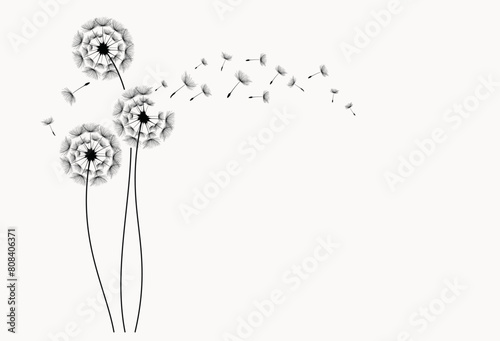 Conceptual illustration of freedom and serenity. Three dandelions blowing in the wind. 