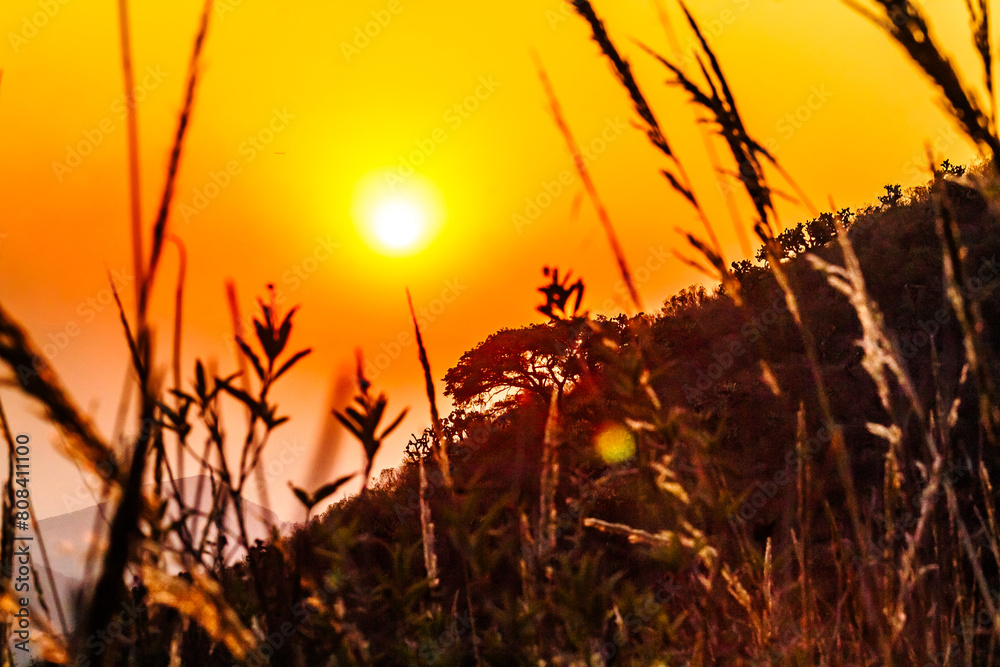 Obraz premium Yellow sunset in the mountains, Sierra de Guadalupe state of Mexico