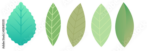 Set of leaves on a checkered background. Vector illustration. © Sompong