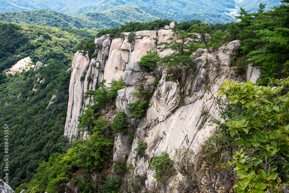 용화산 용화산