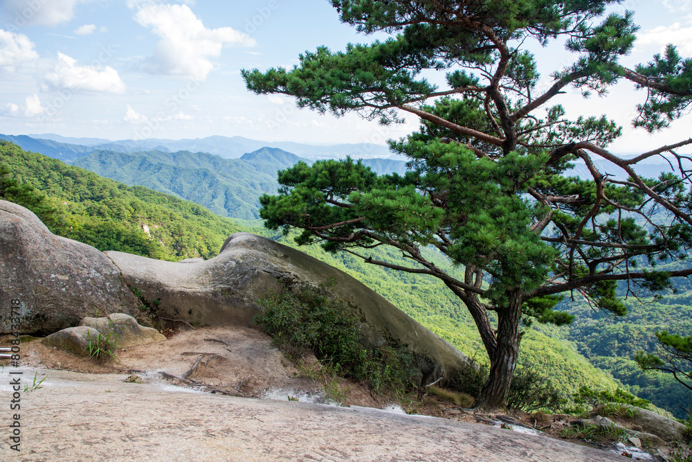 용화산 용화산