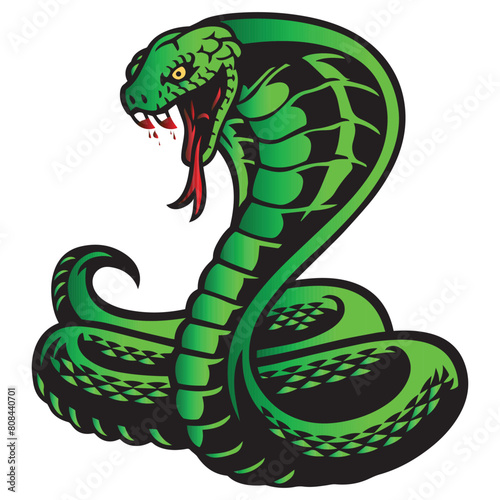 Cobra Snake  Vector Design print and other uses