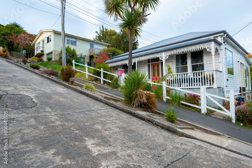 Steepest Street in the World - Dunedin - New Zealand photo