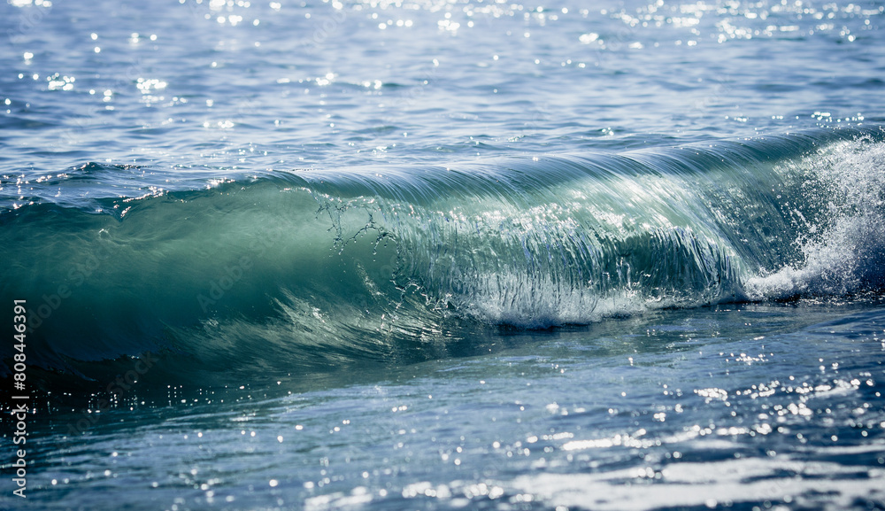 Obraz premium A wave in the sea.