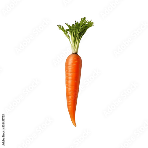 Isolated Carrot Bunch Set