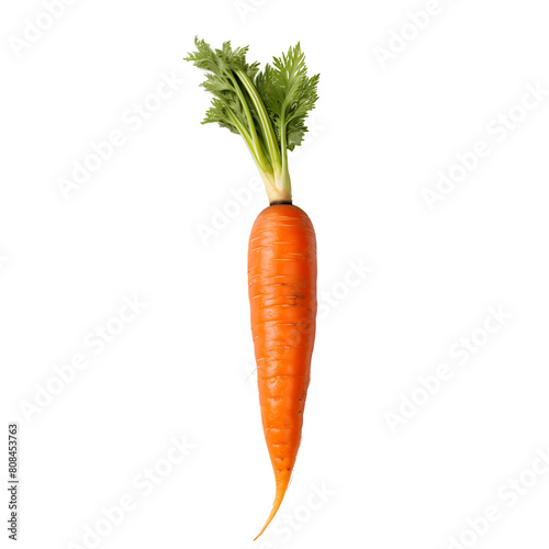 Isolated Ripe Organic Carrot Art