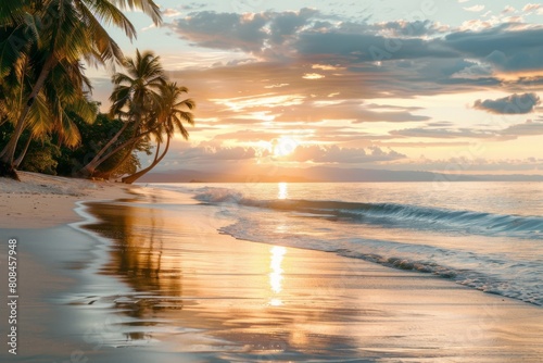 Tropical beach sunset with palm tree reflections