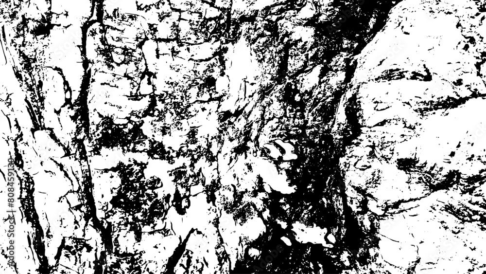 Fototapeta premium 2-77. Wood Surface Texture Effect - Illustration Old Wood Black and White Vector Texture.