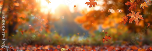 auntumn leaves nature background, copy space,banner, Autumn Background With Falling Leaves, orange leaves photo