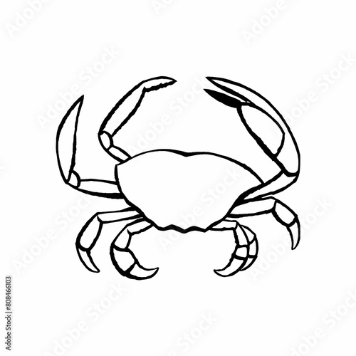 illustration of a crab