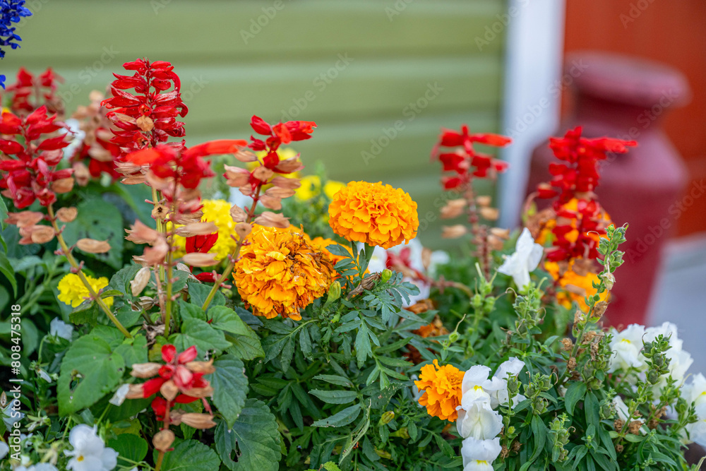 crystal river, florida