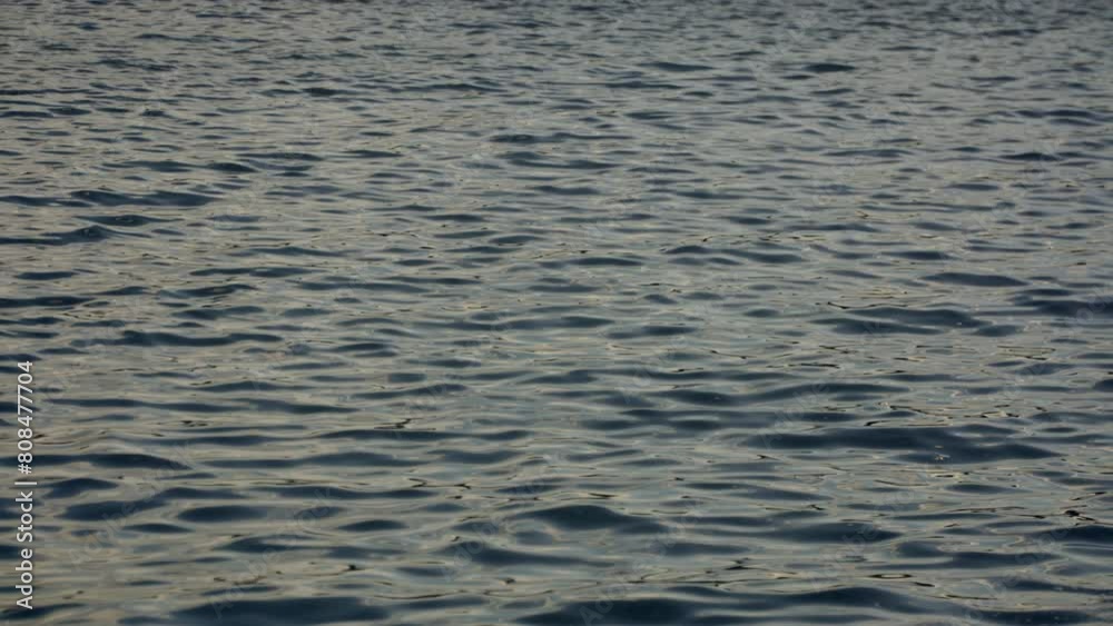 Water ripples at sunrise in the harbour Water ripples at sunrise in the harbour
