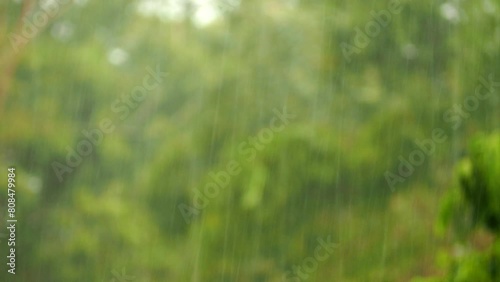 Blurred tree while rainstorm  in countryside village, Chiangmai province Thailand. photo