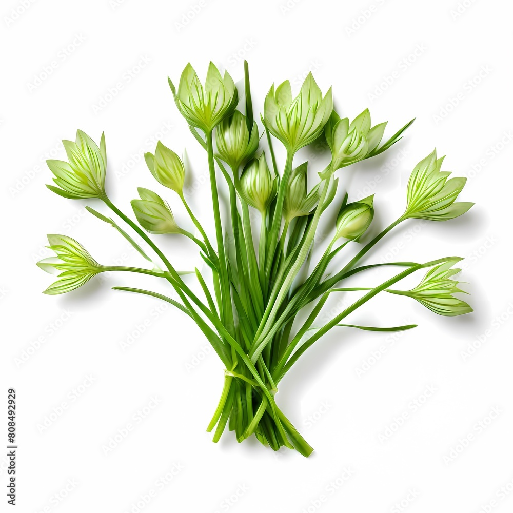 Chives white vegetable white background, Ai Generated Chives white vegetable white background, Ai Generated