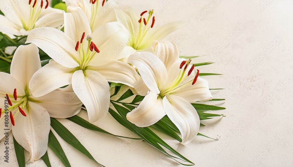 Fototapeta premium bouquet of white lilies flower, pink, lily, nature, spring, white, plant, flowers, blossom, isolated, beauty