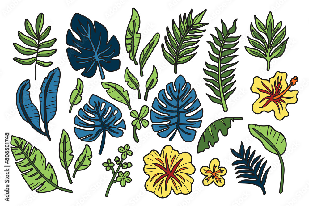 A collection of black and white drawings of various tropical plants and flowers