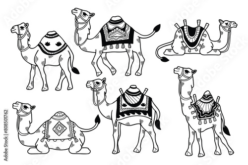 A set of black and white drawings of camels with different colored blankets