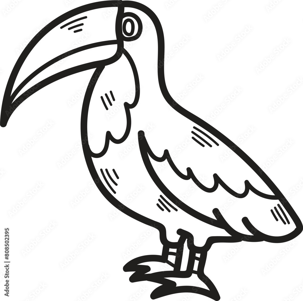 Fototapeta premium A black and white drawing of a bird with a large beak and a colorful tail