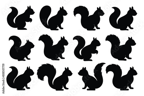 Set of squirrel black Silhouette Design with white Background and Vector Illustration