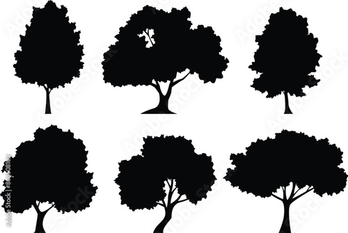 set of silhouette trees on transparent background, vector design	