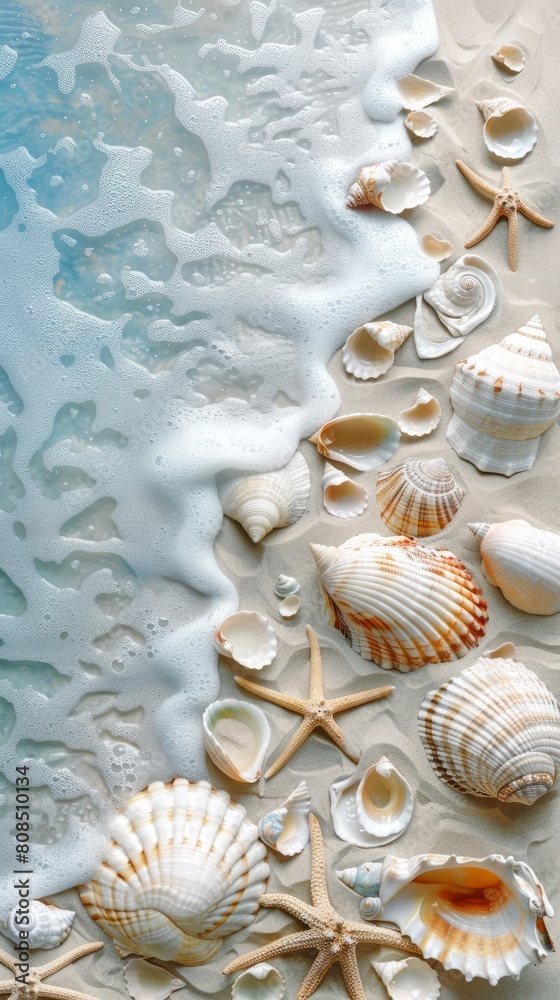 Painting depicting various seashells and starfish scattered on a sandy beach with a border inspired by the sea Painting depicting various seashells and starfish scattered on a sandy beach with a border inspired by the sea