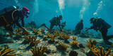 scuba diver and coral reef, A scuba divers working on a coral reef restoration project, planting coral fragments and helping to preserve marine