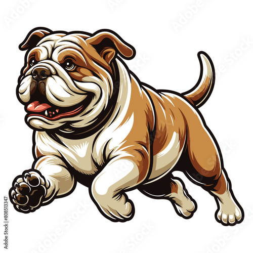 bulldog running vector illustration