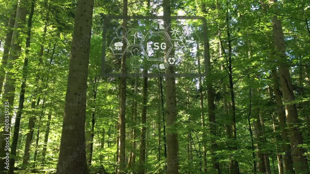 Digital ESG display screen inside magic sunny forest landscape. Concept Environment, Social and Governance.
Digital ESG display screen inside magic sunny forest landscape. Concept Environment, Social and Governance.