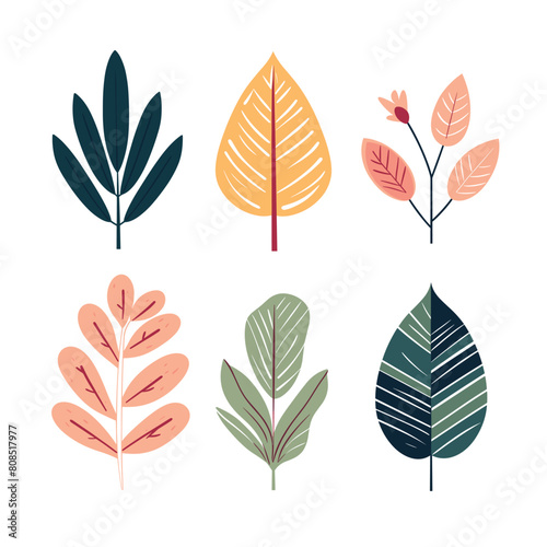 Set six stylized plant leaves branch flower, flat design style. Botanical graphic elements colored shades green, pink, yellow, suitable educational decorative use. Nature themed illustration