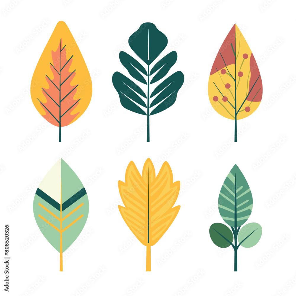 Set six stylized leaves various shapes colors, leaf features unique design, suggesting different tree species. Naturethemed graphic suitable educational material seasonal decoration Set six stylized leaves various shapes colors, leaf features unique design, suggesting different tree species. Naturethemed graphic suitable educational material seasonal decoration