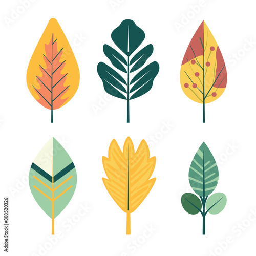 Set six stylized leaves various shapes colors  leaf features unique design  suggesting different tree species. Naturethemed graphic suitable educational material seasonal decoration