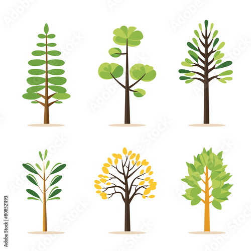 Six different cartoon trees varying leaf shapes colors represent changing seasons. Trees transition green yellow foliage indicating autumn  stylized simple  suitable educational material about