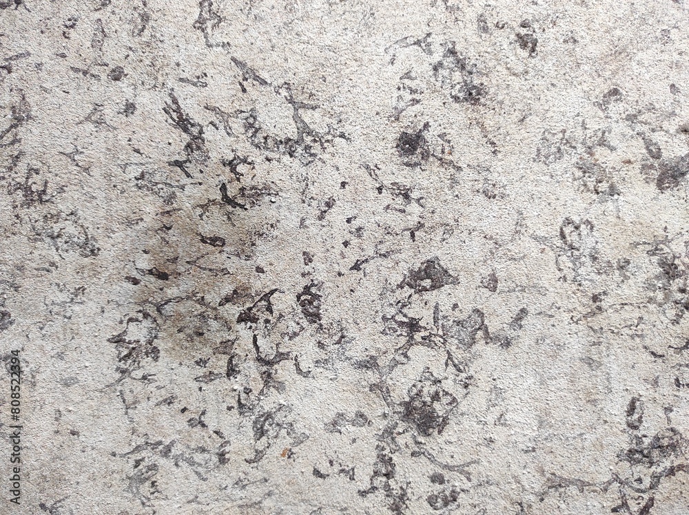 Gray concrete texture. Gray texture background and blank Gray concrete texture. Gray texture background and blank