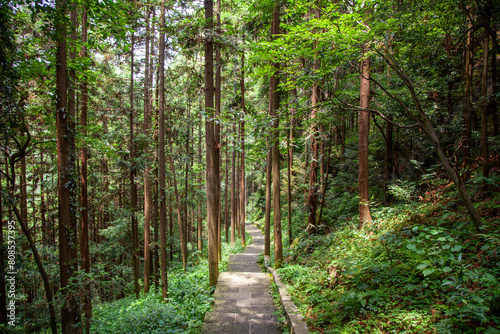 Zhangjiajie National Forest Park, northwestern part of Hunan Province, China photo